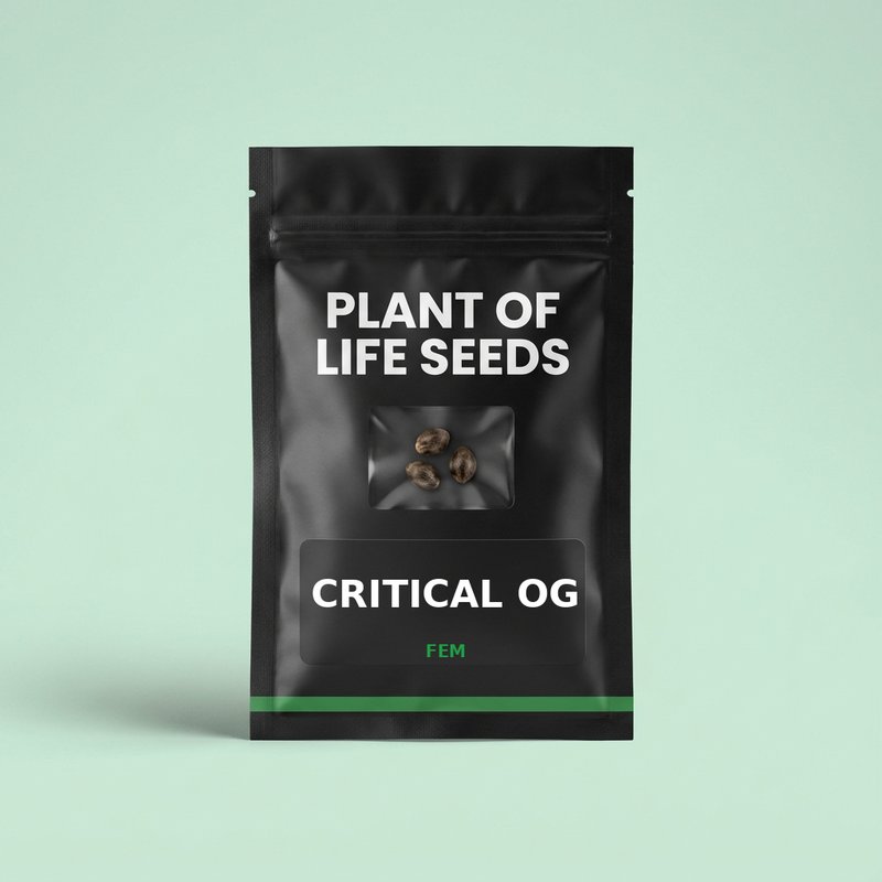 CRITICAL OG