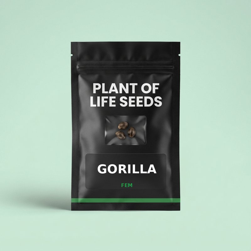GORILLA