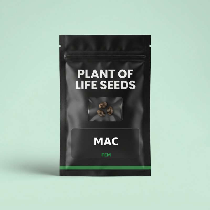 MAC