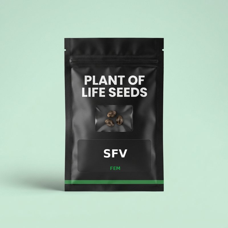 SFV