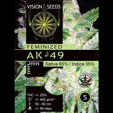 AK-49 Feminized Vision Seeds - 5 Seeds
