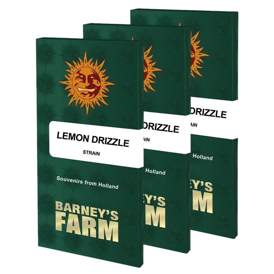 Barney's Farm - Lemon Drizzle - 3 Seeds