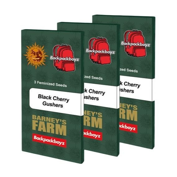 Barney's Farm - Black Cherry Gushers - 3 Seeds