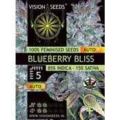 Blueberry Bliss Autoflowering Feminized Vision Seeds - 5 Seeds