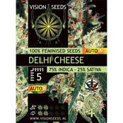 Delhi Cheese Autoflowering Feminized Vision Seeds - 5 Seeds