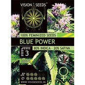 Blue Power Feminized Vision Seeds - 3 Seeds
