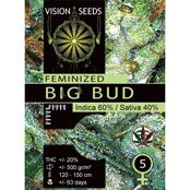 Big Bud Feminized Vision Seeds - 5 Seeds
