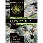 Lowryder Feminized Seeds Autoflowering Vision Seeds - 5 Seeds