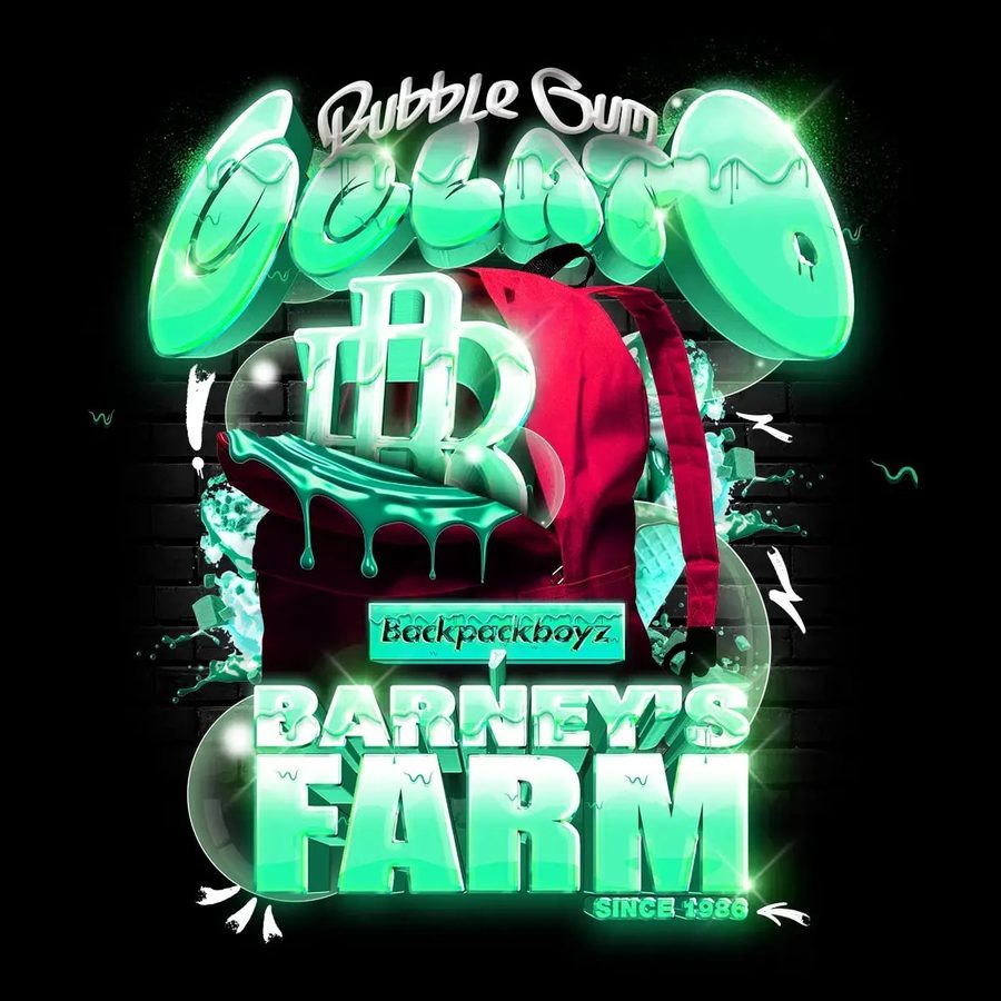 Barney's Farm - Bubblegum Gelato - 3 Seeds