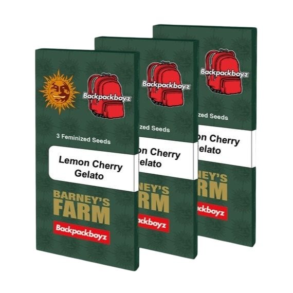 Barney's Farm - Lemon Cherry Gelato - 3 Seeds