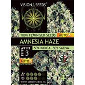 Amnesia Haze Autoflowering Feminized Vision Seeds - 3 Seeds
