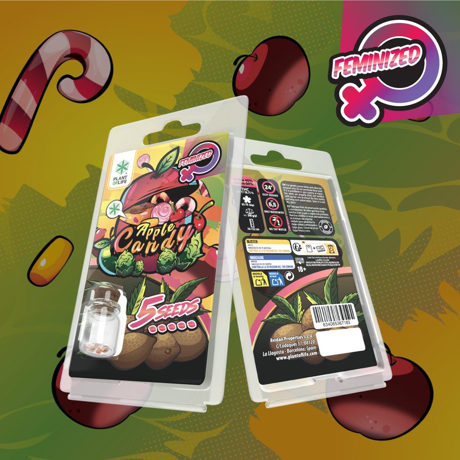 Apple Candy - 5 Seeds