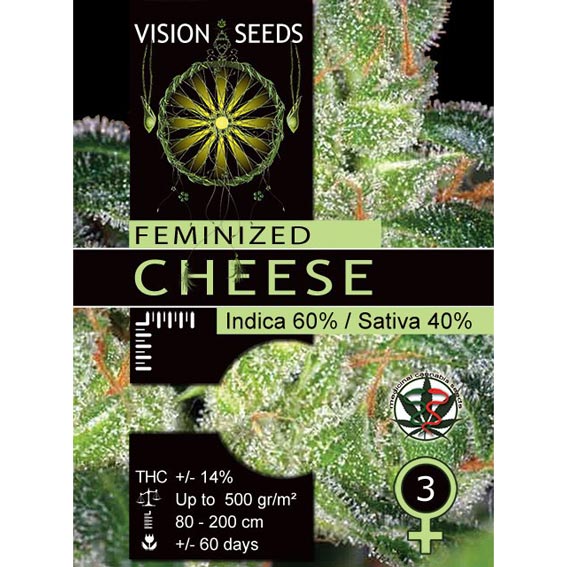 Cheese Feminized