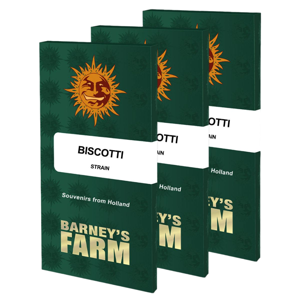Barney's Farm - Biscotti - Pack of 5 Seeds