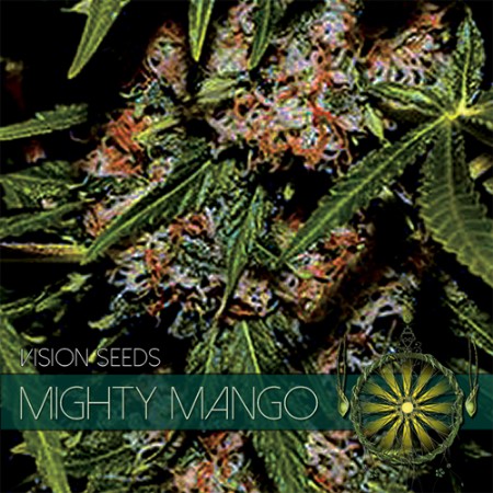 Mighty Mango Feminized - 3 Seeds