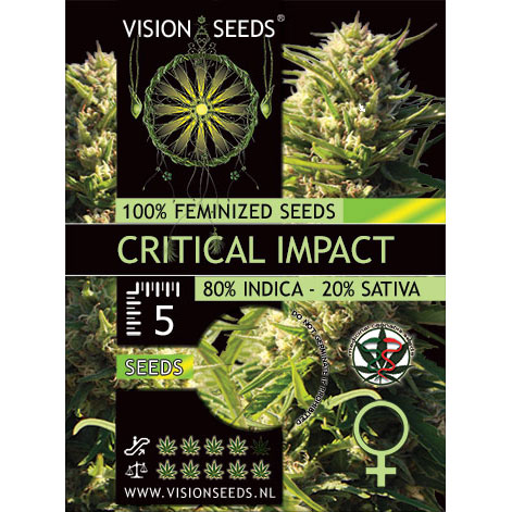 Critical Impact Feminized