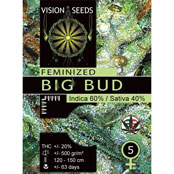 Big Bud Feminized