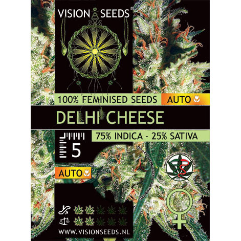 Delhi Cheese Autoflowering Feminized