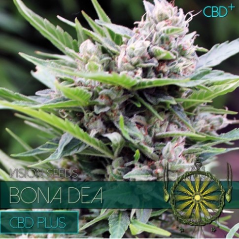 Bona Dea CBD+ Feminized