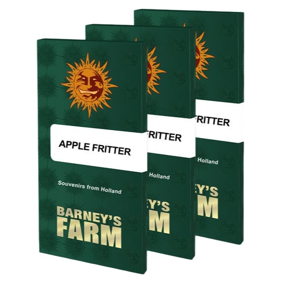 Barney's Farm - Apple Fritter - Pack of 5 Seeds