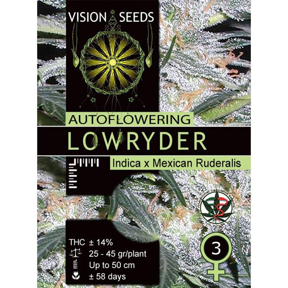Lowryder Autoflowering Feminized