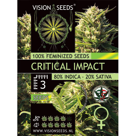 Critical Impact Feminized