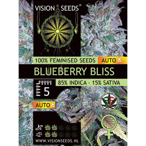 Blueberry Bliss Autoflowering Feminized